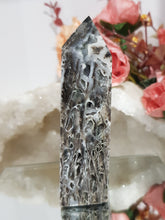 Load image into Gallery viewer, Black-Sphalerite-Crystal-Tower-On-Lean
