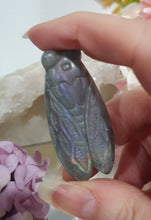 Load image into Gallery viewer, Cicada Labradorite Crystal Carving

Inspires Transformation and Inner Strength

Lovely Labradorite Cicada Crystal Carving stone. 

