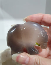 Load image into Gallery viewer, Bear Agate Crystal Carving Stone

Inspires Friendships and Harmony

Lovely Agate Bear Crystal Carving Stone with amazng druzy. 
