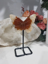 Load image into Gallery viewer, Carnelian-butterfly-crystal-carving-stone-moonlight-crystals-australia
