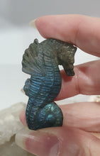 Load image into Gallery viewer, Seahorse Labradorite Crystal Carving

Inspires Transformation and Inner Strength

Labradorite Seahorse Crystal Carving stone. 


