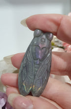 Load image into Gallery viewer, Cicada Labradorite Crystal Carving

Inspires Transformation and Inner Strength

Lovely Labradorite Cicada Crystal Carving stone. 
