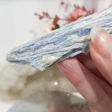 Load image into Gallery viewer, Blue Kyanite Crystal Raw Rough Stone 105mm 4
