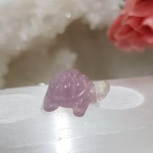 Load image into Gallery viewer, turtle fluorite crystal carving
