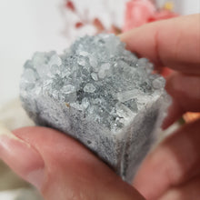 Load image into Gallery viewer, apophyllite-crystal-cluster-specimen-stone
