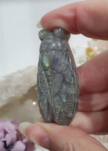 Load image into Gallery viewer, Cicada Labradorite Crystal Carving

Inspires Transformation and Inner Strength

Lovely Labradorite Cicada Crystal Carving stone. 
