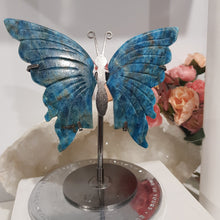 Load image into Gallery viewer, Butterfly Wings on Stand Apatite Crystal carving gemstone stone 120mm 6
