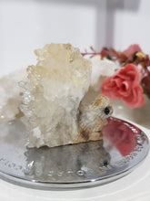 Load image into Gallery viewer, Squirrel Quartz Cluster Crystal Carving 50mm 1
