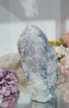 Load image into Gallery viewer, Celestite Crystal Cluster Tower.

Inspires Communication with the Angels

Gorgeous Celestite Crystal Cluster Tower.  



