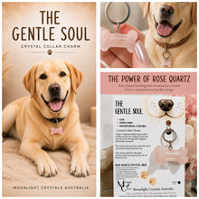 Load image into Gallery viewer, "THE GENTLE SOUL" Crystal Collar Charm Rose Quartz Dog Tag Key ring Bone Crystal Carving - 35mm | Love, Compassion, Unconditional Devotion
