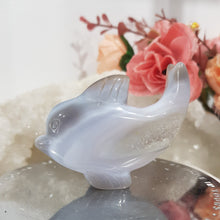 Load image into Gallery viewer, DOLPHIN Druzy Agate Crystal Carving Stone 50mm 6
