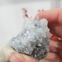 Load image into Gallery viewer, apophyllite-crystal-cluster-specimen-stone
