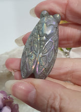 Load image into Gallery viewer, Cicada Labradorite Crystal Carving

Inspires Transformation and Inner Strength

Lovely Labradorite Cicada Crystal Carving stone. 
