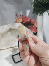 Load image into Gallery viewer, Carnelian Butterfly Crystal Carving Stone on Stand 120mm
