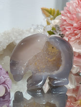 Load image into Gallery viewer, Bear Agate Crystal Carving Stone

Inspires Friendships and Harmony

Lovely Agate Bear Crystal Carving Stone with amazng druzy. 
