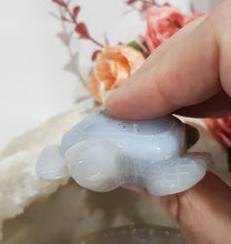 Load image into Gallery viewer, TURTLE Druzy Agate Crystal Carving Stone 50mm 4
