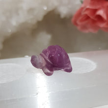 Load image into Gallery viewer, turtle fluorite crystal carving
