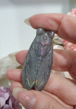 Load image into Gallery viewer, Cicada Labradorite Crystal Carving

Inspires Transformation and Inner Strength

Lovely Labradorite Cicada Crystal Carving stone. 
