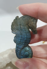 Load image into Gallery viewer, Seahorse Labradorite Crystal Carving

Inspires Transformation and Inner Strength

Labradorite Seahorse Crystal Carving stone. 


