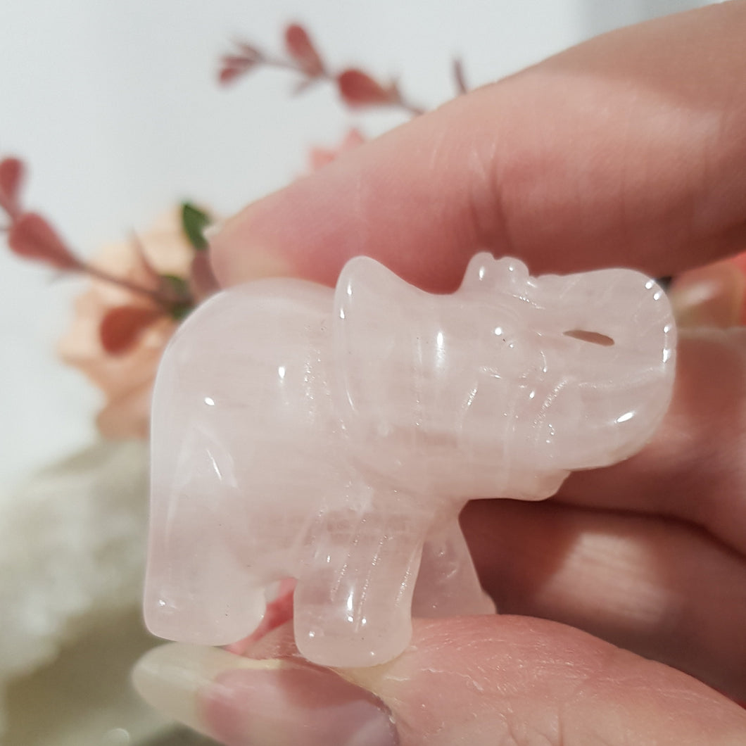 elephant Rose Quartz Crystal