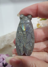 Load image into Gallery viewer, Cicada Labradorite Crystal Carving

Inspires Transformation and Inner Strength

Lovely Labradorite Cicada Crystal Carving stone. 
