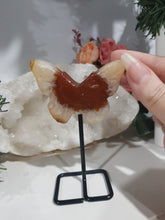 Load image into Gallery viewer, Carnelian-butterfly-crystal-carving-stone-moonlight-crystals-australia
