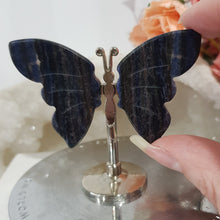 Load image into Gallery viewer, mini-sodalite-butterfly-wings
