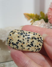 Load image into Gallery viewer, Dalmation Jasper Crystal Carving Tumble Stone.

Inspires Balance &amp; Wonder

Gorgeous Dalmation Jasper Crystal Tumble Stone. 
