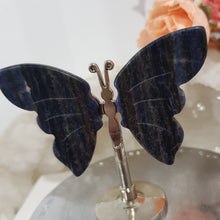 Load image into Gallery viewer, mini-sodalite-butterfly-wings
