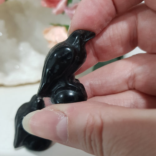 raven-crow-crystal-carving-stone-black-obsidian-moonlight-crystals-australia-online-store-melbourne-australia