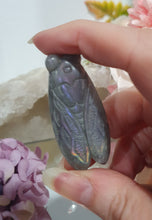 Load image into Gallery viewer, Cicada Labradorite Crystal Carving

Inspires Transformation and Inner Strength

Lovely Labradorite Cicada Crystal Carving stone. 

