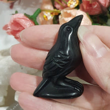 Load image into Gallery viewer, raven-crow-crystal-carving-stone-black-obsidian-moonlight-crystals-australia-online-store-melbourne-australia
