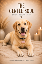 Load image into Gallery viewer, "THE GENTLE SOUL" Crystal Collar Charm Rose Quartz Dog Tag Key ring Bone Crystal Carving | Love, Compassion, Unconditional Devotion

LOVE | COMPASSION | UNCONDITIONAL DEVOTION

&nbsp;"For the companions who comfort without words, love without limits and stasy close through life's happiest and hardest moments.&nbsp;

Every gentle nuzzle, quiet cuddle and loving glance is a reminder that the softest souls often bring the greatest comfort.&nbsp; Their quiet devotion leaves paw prints on our hearts that last a 
